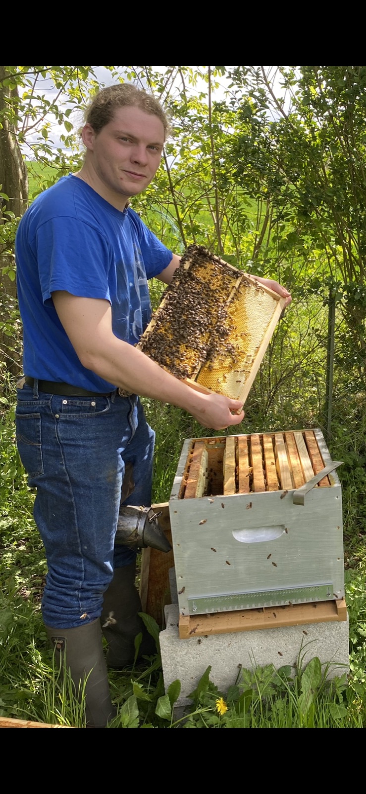 Mike Vivien présentant un cadre couvert d'abeilles devant une ruche