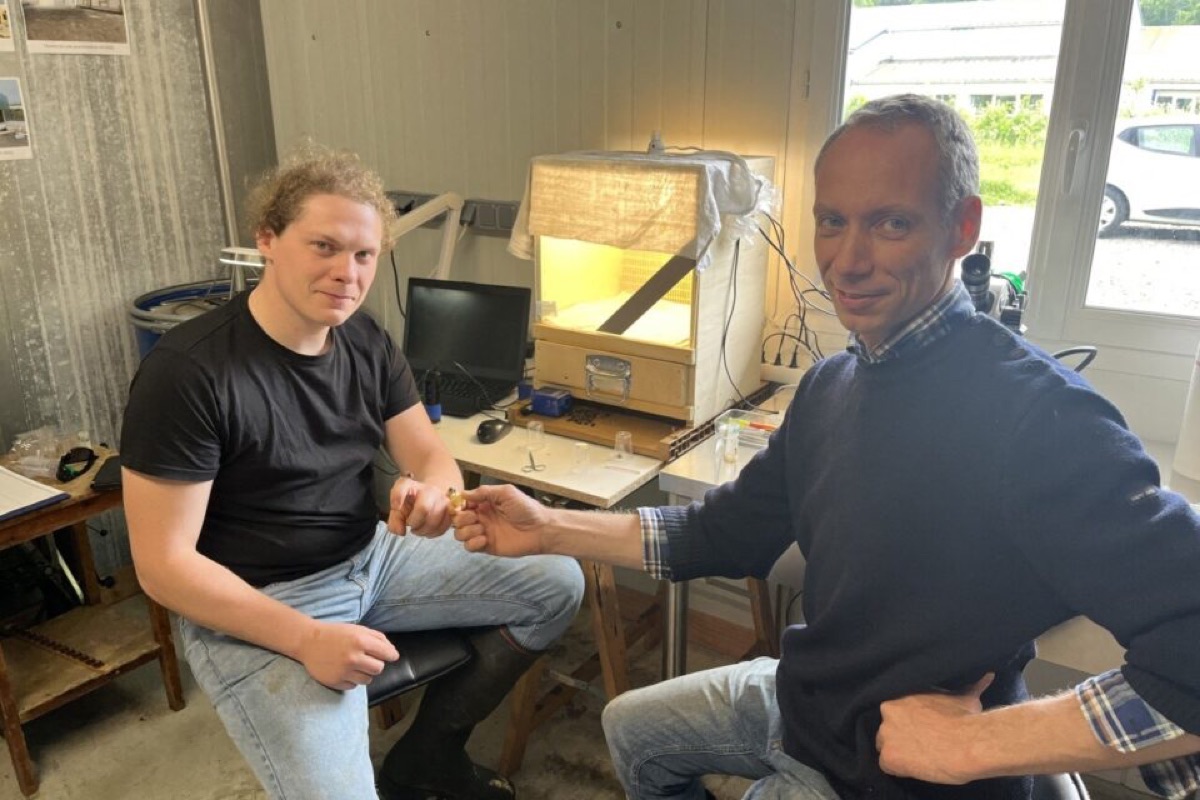 Mike Vivien et Jérôme Mansire au poste de sélection